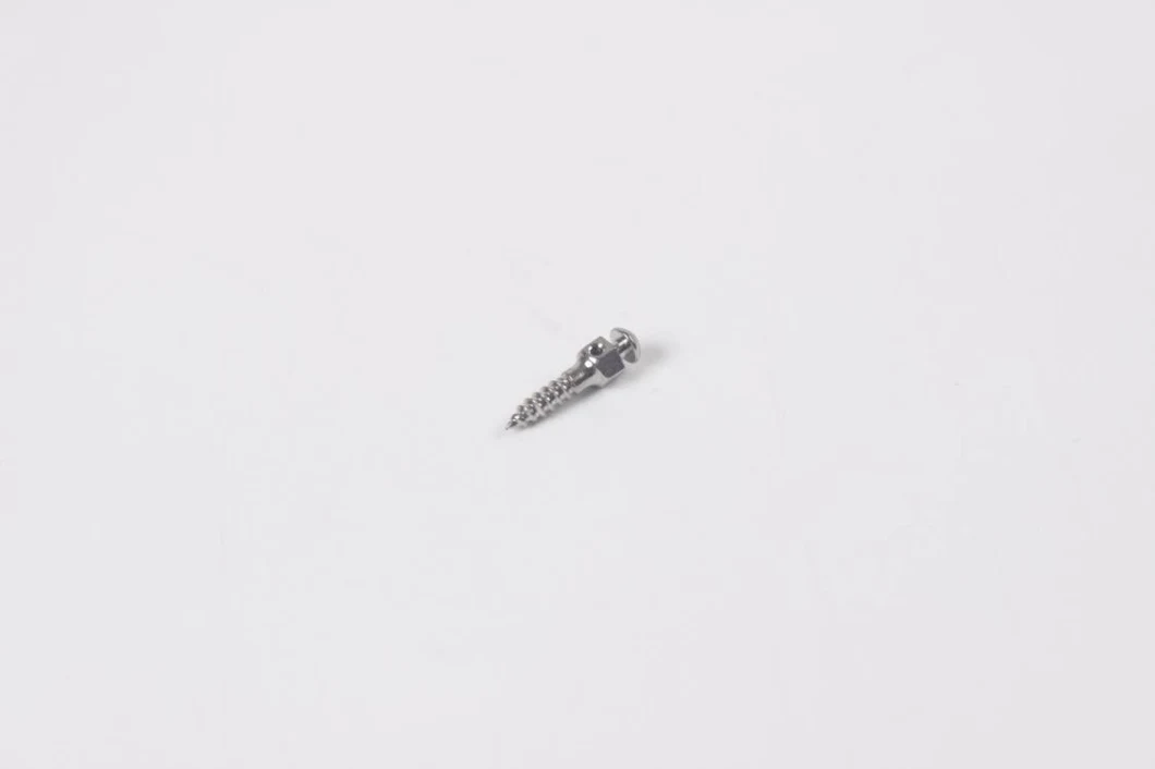 Dental Orthodontic Micro Screw/Orthodontic Self-Drilling Screw